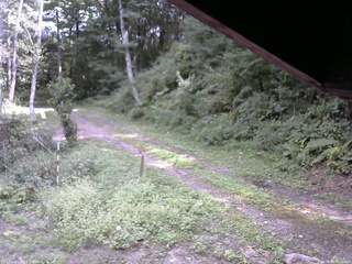 長野県菅平高原 ゆたか山荘 東側(坂下) 2025/09/07 13:00