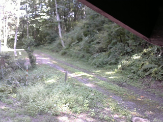 長野県菅平高原 ゆたか山荘 東側(坂下) 2025/09/07 13:45