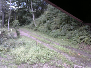長野県菅平高原 ゆたか山荘 東側(坂下) 2025/09/07 14:15