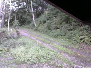 長野県菅平高原 ゆたか山荘 東側(坂下) 2025/09/07 15:00