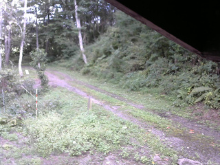 長野県菅平高原 ゆたか山荘 東側(坂下) 2025/09/07 15:15