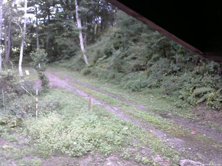 長野県菅平高原 ゆたか山荘 東側(坂下) 2025/09/07 16:00
