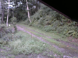 長野県菅平高原 ゆたか山荘 東側(坂下) 2025/09/07 17:30