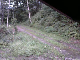 長野県菅平高原 ゆたか山荘 東側(坂下) 2025/09/07 17:45