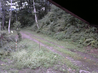 長野県菅平高原 ゆたか山荘 東側(坂下) 2025/09/07 18:00