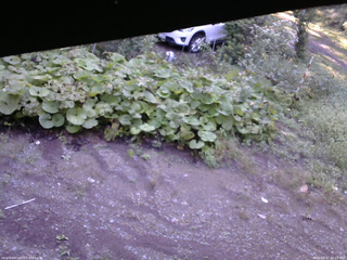 長野県菅平高原 ゆたか山荘 駐車場 2025/09/07 06:15