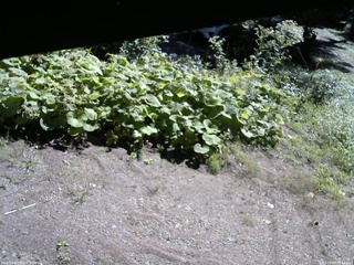 長野県菅平高原 ゆたか山荘 駐車場 2025/09/07 09:15