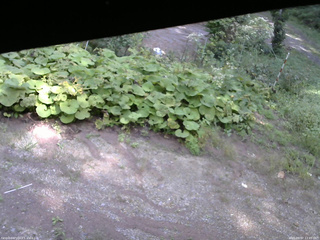 長野県菅平高原 ゆたか山荘 駐車場 2025/09/07 13:45