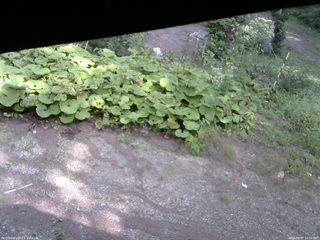 長野県菅平高原 ゆたか山荘 駐車場 2025/09/07 14:00