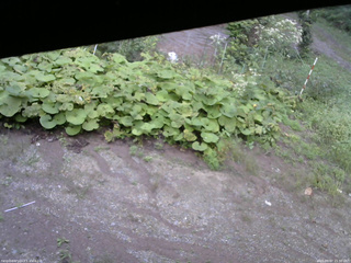 長野県菅平高原 ゆたか山荘 駐車場 2025/09/07 15:30