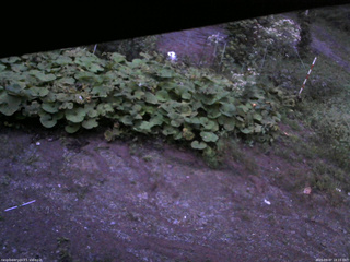 長野県菅平高原 ゆたか山荘 駐車場 2025/09/07 18:15