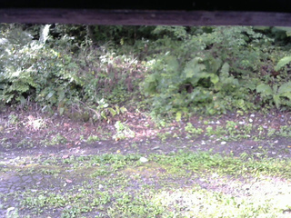 長野県菅平高原 ゆたか山荘 南側 2025/09/08 07:15