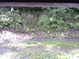 長野県菅平高原 ゆたか山荘 南側 2025/09/08 07:30