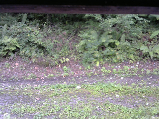 長野県菅平高原 ゆたか山荘 南側 2025/09/08 08:00