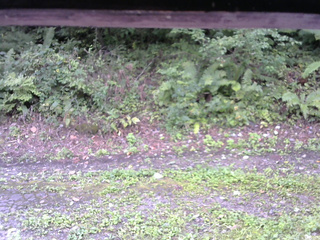 長野県菅平高原 ゆたか山荘 南側 2025/09/08 08:15