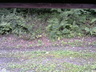 長野県菅平高原 ゆたか山荘 南側 2025/09/08 09:45