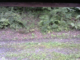 長野県菅平高原 ゆたか山荘 南側 2025/09/08 12:00