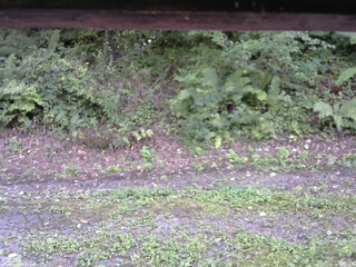 長野県菅平高原 ゆたか山荘 南側 2025/09/08 14:15