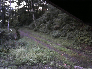 長野県菅平高原 ゆたか山荘 東側(坂下) 2025/09/08 05:15
