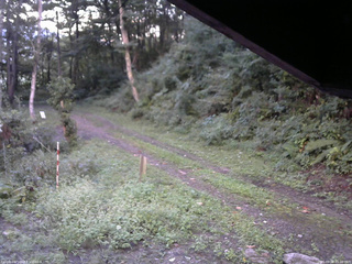 長野県菅平高原 ゆたか山荘 東側(坂下) 2025/09/08 05:30