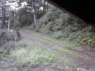 長野県菅平高原 ゆたか山荘 東側(坂下) 2025/09/08 05:45