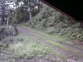 長野県菅平高原 ゆたか山荘 東側(坂下) 2025/09/08 06:00