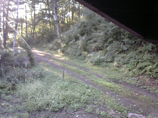 長野県菅平高原 ゆたか山荘 東側(坂下) 2025/09/08 06:15
