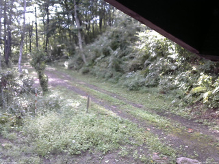 長野県菅平高原 ゆたか山荘 東側(坂下) 2025/09/08 07:15