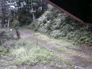 長野県菅平高原 ゆたか山荘 東側(坂下) 2025/09/08 08:15