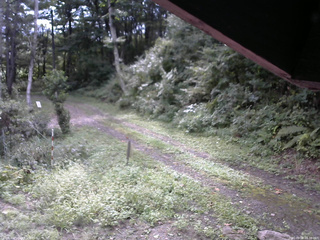 長野県菅平高原 ゆたか山荘 東側(坂下) 2025/09/08 08:30