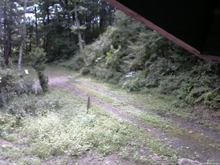 長野県菅平高原 ゆたか山荘 東側(坂下) 2025/09/08 08:45