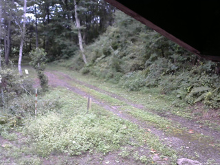 長野県菅平高原 ゆたか山荘 東側(坂下) 2025/09/08 10:15