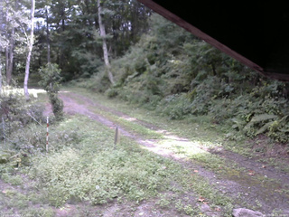 長野県菅平高原 ゆたか山荘 東側(坂下) 2025/09/08 12:30