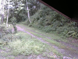 長野県菅平高原 ゆたか山荘 東側(坂下) 2025/09/08 14:15