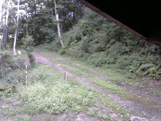 長野県菅平高原 ゆたか山荘 東側(坂下) 2025/09/08 14:30