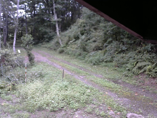 長野県菅平高原 ゆたか山荘 東側(坂下) 2025/09/08 16:45