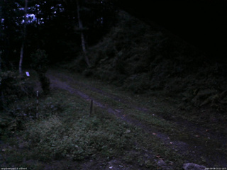 長野県菅平高原 ゆたか山荘 東側(坂下) 2025/09/08 18:15