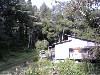 長野県菅平高原 ゆたか山荘 西側(坂上) 2025/09/08 07:15