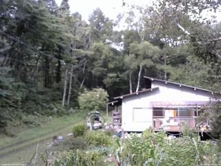 長野県菅平高原 ゆたか山荘 西側(坂上) 2025/09/08 08:15