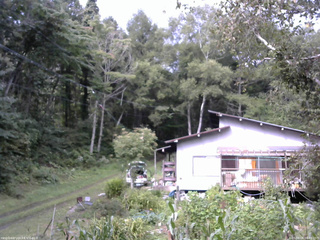 長野県菅平高原 ゆたか山荘 西側(坂上) 2025/09/08 08:45