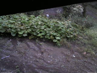 長野県菅平高原 ゆたか山荘 駐車場 2025/09/08 05:15