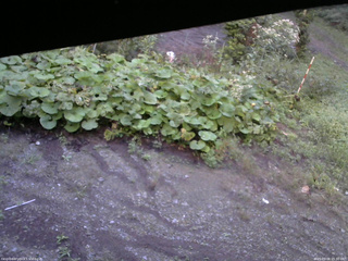 長野県菅平高原 ゆたか山荘 駐車場 2025/09/08 05:30