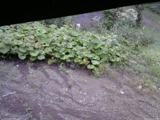 長野県菅平高原 ゆたか山荘 駐車場 2025/09/08 05:45