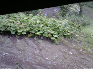 長野県菅平高原 ゆたか山荘 駐車場 2025/09/08 06:00