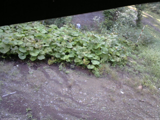 長野県菅平高原 ゆたか山荘 駐車場 2025/09/08 06:15
