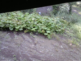 長野県菅平高原 ゆたか山荘 駐車場 2025/09/08 06:30