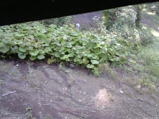 長野県菅平高原 ゆたか山荘 駐車場 2025/09/08 06:45