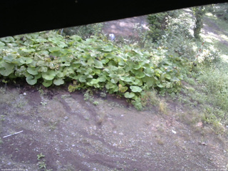 長野県菅平高原 ゆたか山荘 駐車場 2025/09/08 07:00