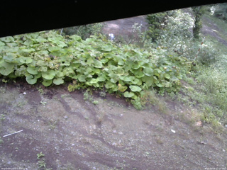 長野県菅平高原 ゆたか山荘 駐車場 2025/09/08 07:15
