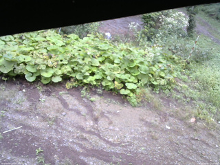 長野県菅平高原 ゆたか山荘 駐車場 2025/09/08 07:45